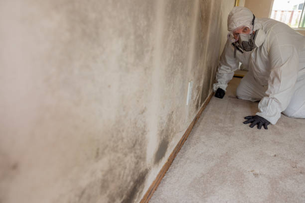 Mold Remediation for Rental Properties